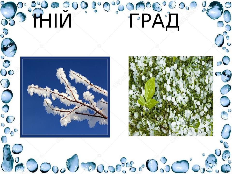 ІНІЙ ГРАД