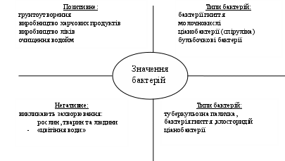 Конспект Уроку У 6 Класі "Значення Бактерій У Природі Та Житті.