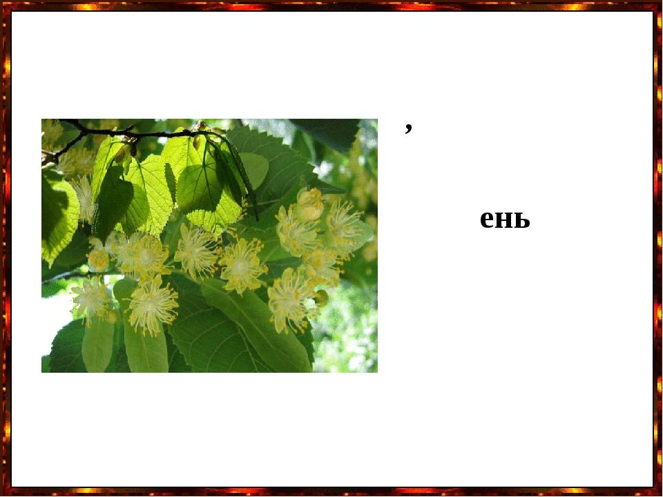 ень ,
