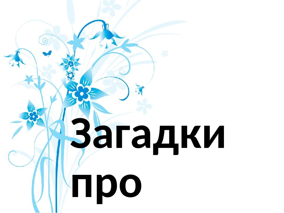 Загадки про МОДУ