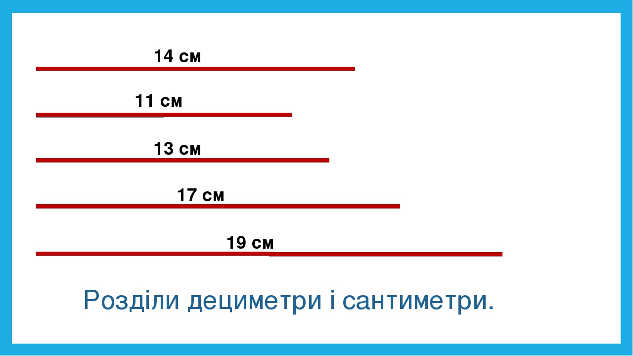 14 см 11 см 13 см 17 см 19 см Розділи дециметри і сантиметри.