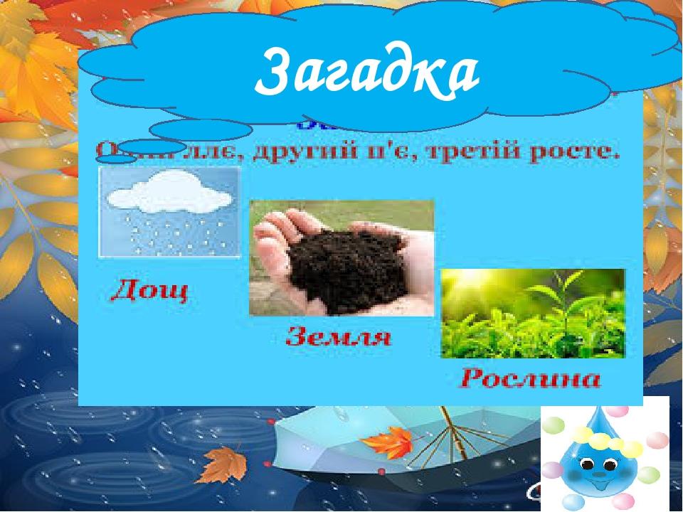 Загадка