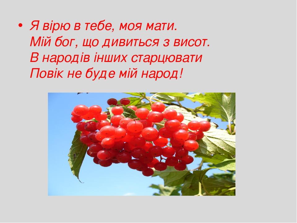 Я вірю в тебе, моя мати.  Мій бог, що дивиться з висот.  В народів інших старцювати  Повік не буде мій народ! 