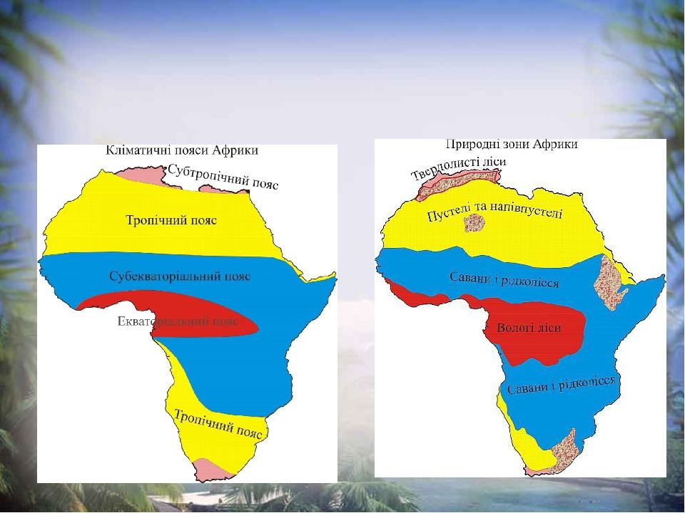 Африка расположена в поясах. Тепловые пояса Африки. Природные зоны Индии.