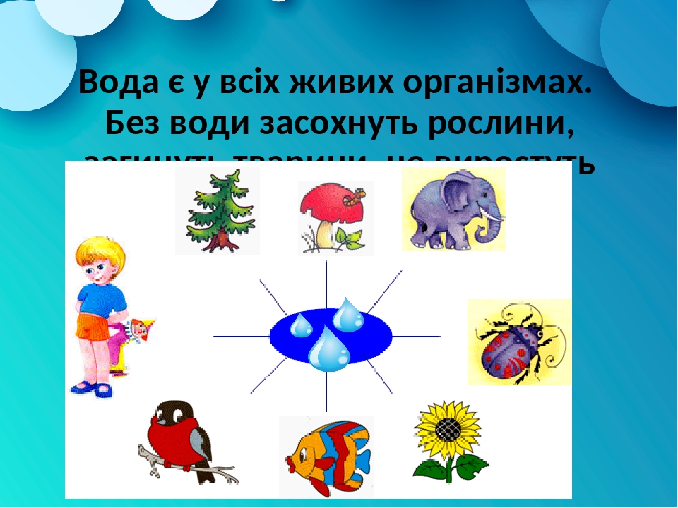 Елке нужна вода. Кому нужна вода картинки. Схема кому нужна вода.