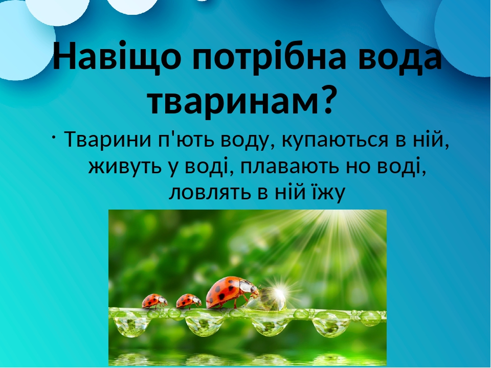 ÐŸÑ€ÐµÐ·ÐµÐ½Ñ‚Ð°Ñ†Ñ–Ñ "ÐÐ°Ð²Ñ–Ñ‰Ð¾ Ð¿Ð¾Ñ‚Ñ€Ñ–Ð±Ð½Ð° Ð²Ð¾Ð´Ð°? Ð©Ð¾ ÑÑ‚Ð°Ð½ÐµÑ‚ÑŒÑÑ, ÑÐºÑ‰Ð¾ Ð²Ð¾Ð½Ð° Ð·Ð½Ð¸ÐºÐ½Ðµ?"