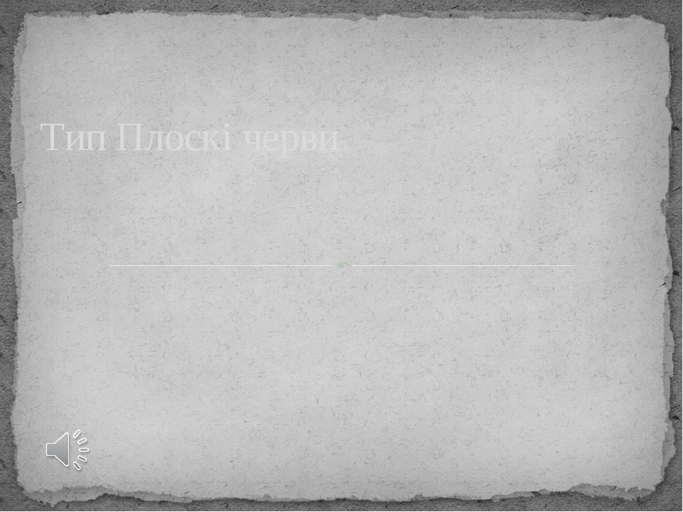 Тип Плоскі черви
