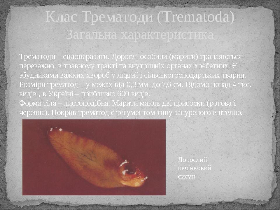 Клас Трематоди (Trematoda) Загальна характеристика Трематоди – ендопаразити. Дорослі особини (марити) трапляються переважно в травному тракті та вн...
