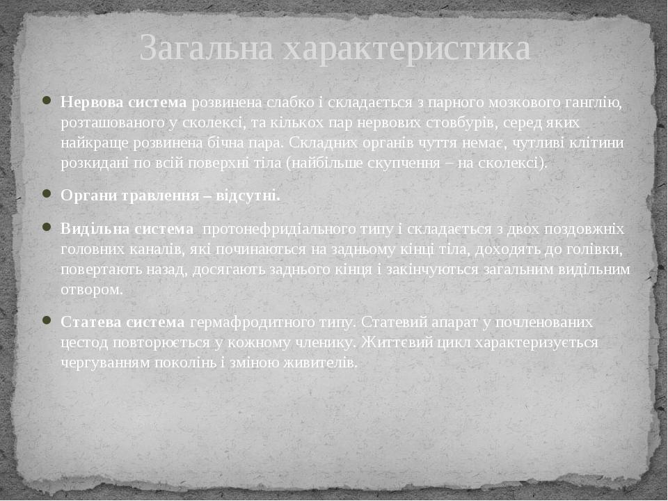Нервова система розвинена слабко і складається з парного мозкового ганглію, розташованого у сколексі, та кількох пар нервових стовбурів, серед яких...