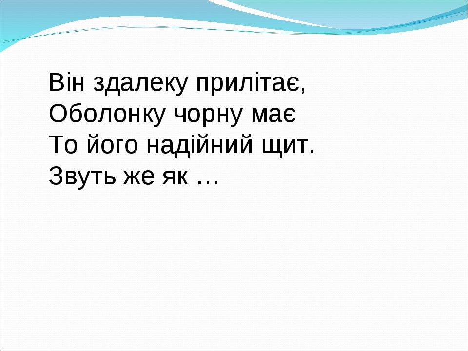 Він здалеку прилітає, Оболонку чорну має То його надійний щит. Звуть же як …