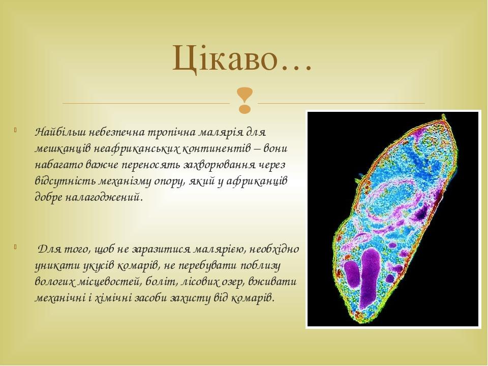Презентація " Малярійний плазмодій " | Презентація. Біологія