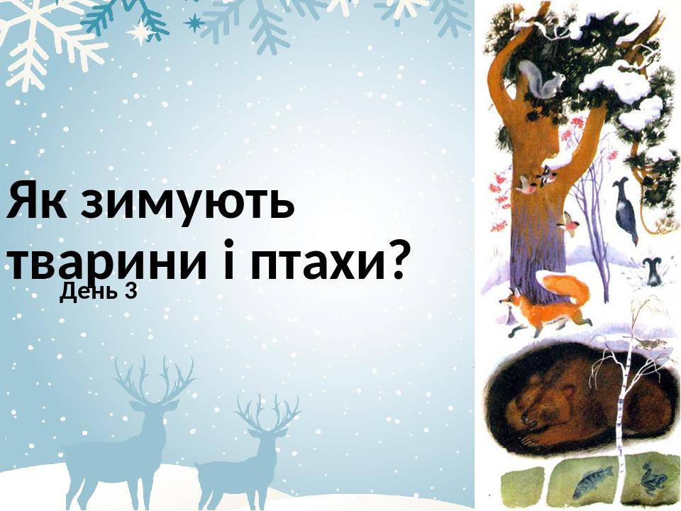 Як зимують тварини і птахи? День 3