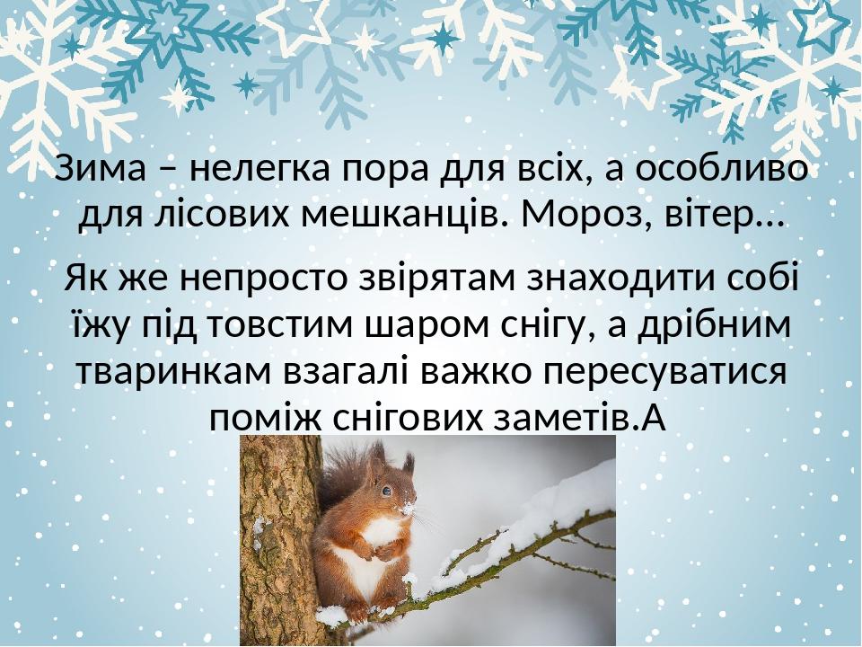 Зима – нелегка пора для всіх, а особливо для лісових мешканців. Мороз, вітер… Як же непросто звірятам знаходити собі їжу під товстим шаром снігу, а...