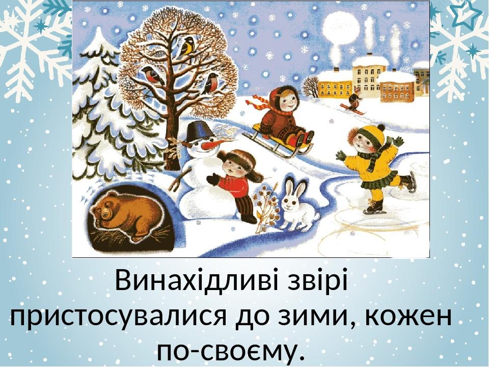Винахідливі звірі пристосувалися до зими, кожен по-своєму.