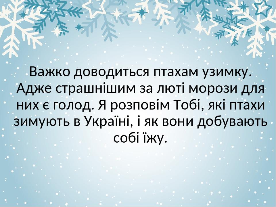 Важко доводиться птахам узимку. Адже страшнішим за люті морози для них є голод. Я розповім Тобі, які птахи зимують в Україні, і як вони добувають с...