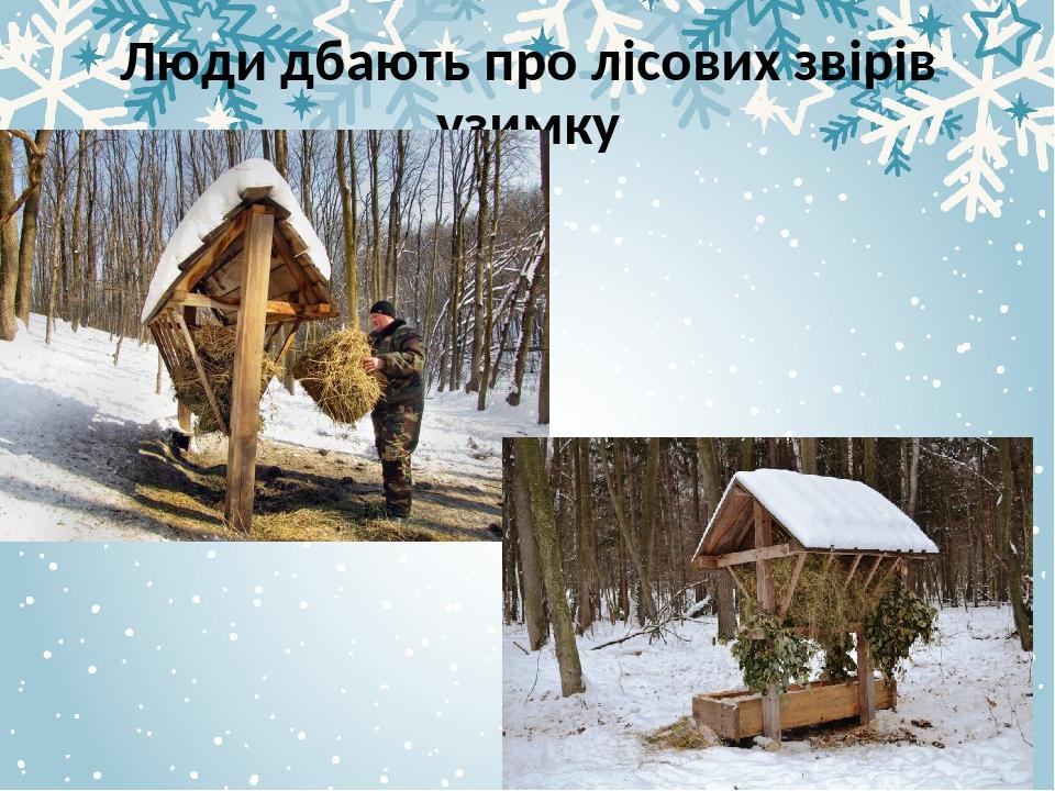 Люди дбають про лісових звірів узимку
