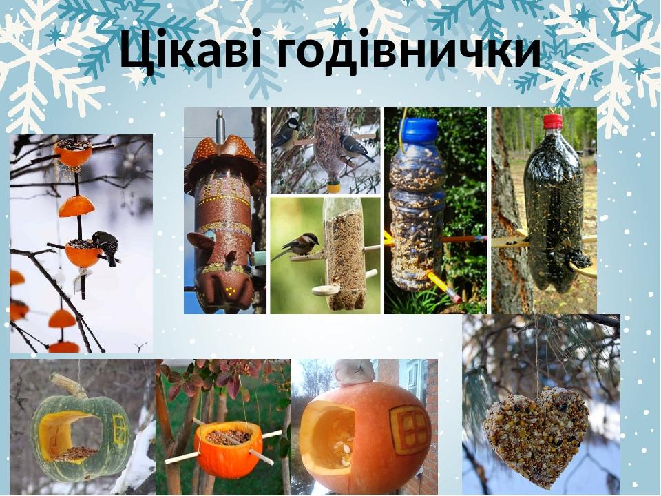 Цікаві годівнички