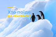 Хто поїде на зустріч до пінгвінів?
