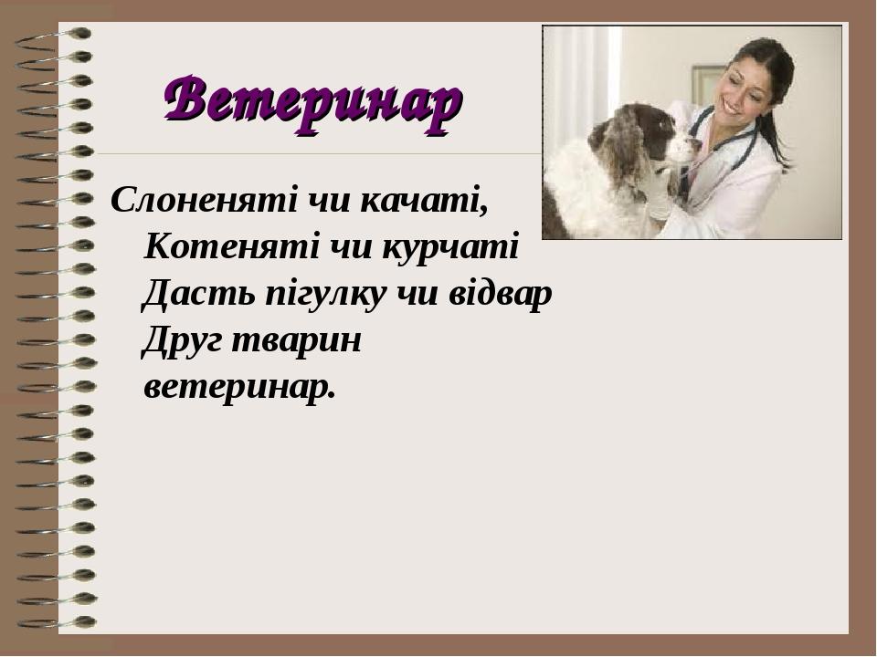 Ветеринар Слоненяті чи качаті,  Котеняті чи курчаті Дасть пігулку чи відвар Друг тварин ветеринар.