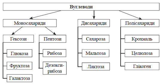 Лабораторна робота "Окислення глюкози"