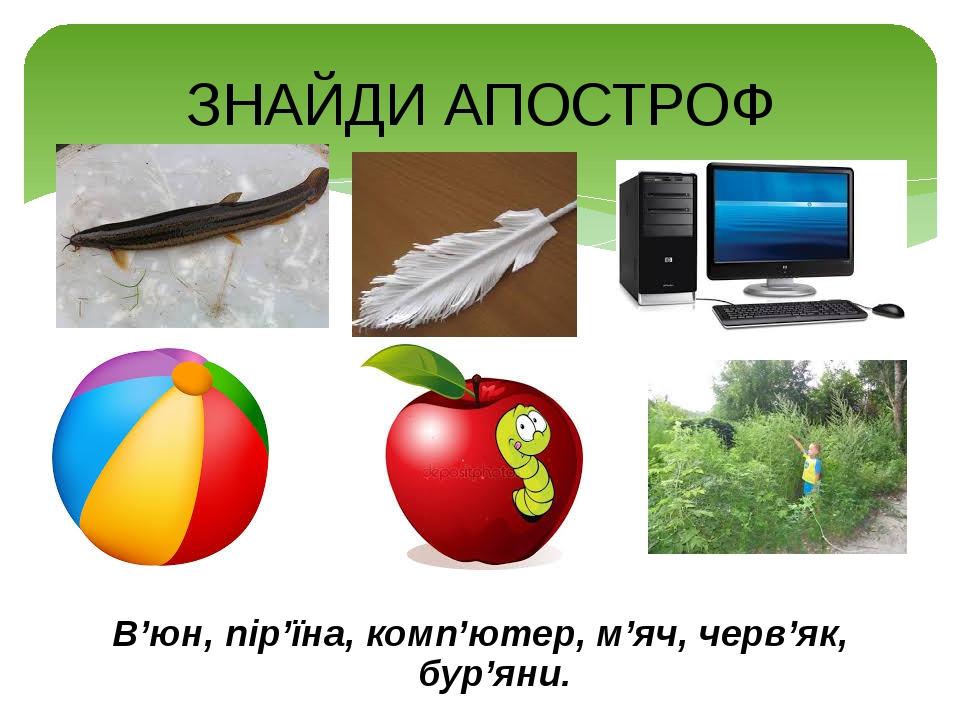 В’юн, пір’їна, комп’ютер, м’яч, черв’як, бур’яни. ЗНАЙДИ АПОСТРОФ