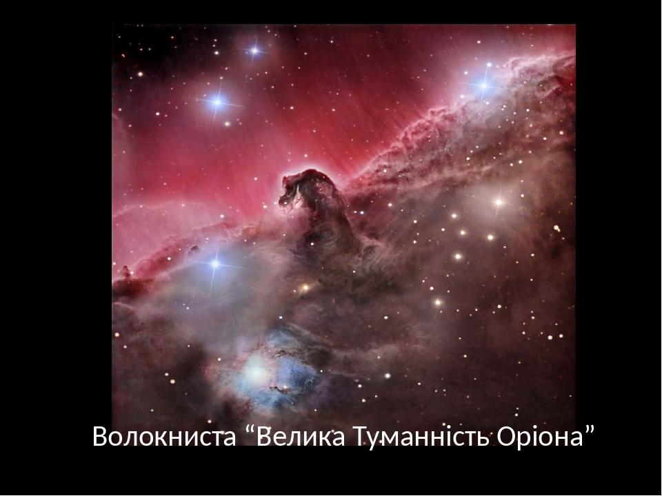Волокниста “Велика Туманність Оріона”