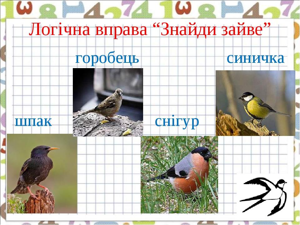 горобець синичка шпак снігур Логічна вправа “Знайди зайве”
