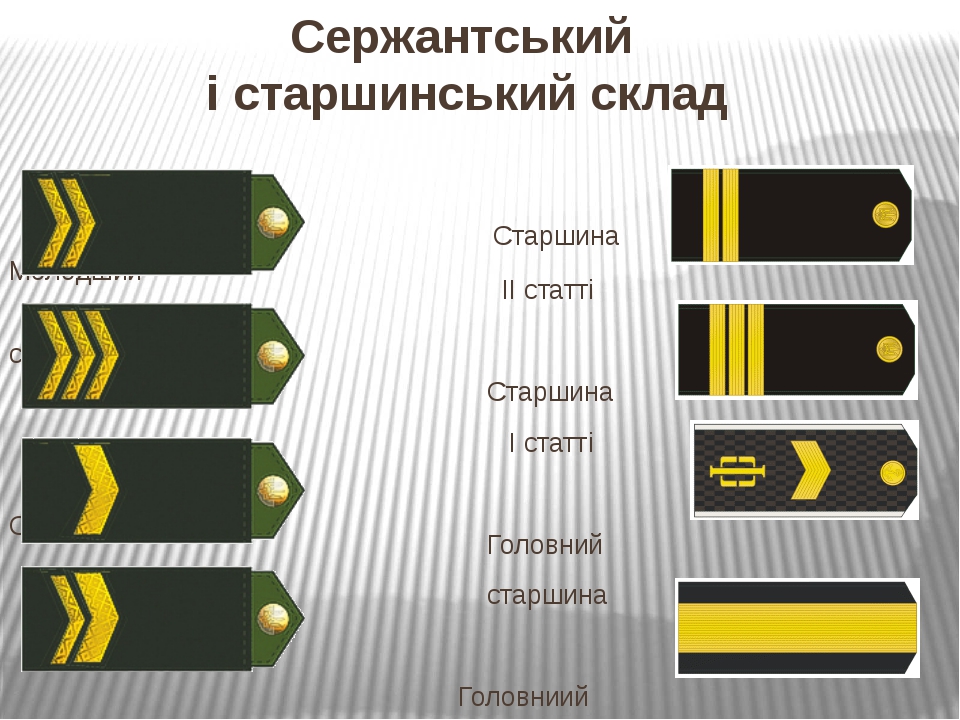 Главный старшина по сухопутному. Старшина главный Корабельный старшина. Звание главный старшина. Погоны главного корабельного старшины. Главный Корабельный старшина погоны.