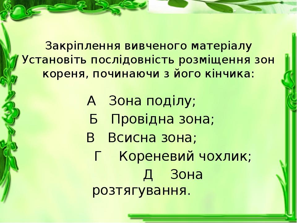 Корінь: будова і функції. | Конспект. Біологія