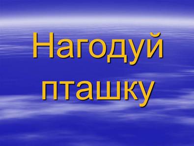 01000zax-4857-395x297.jpg