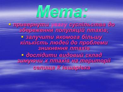 01000zb1-c67d-391x293.jpg