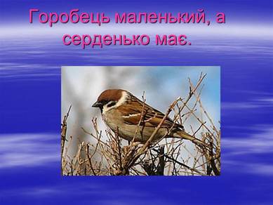 01000zb3-d243-389x292.jpg