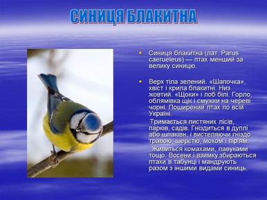 01000zb5-5392-386x290.jpg