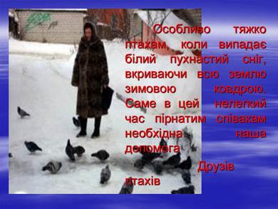 01000zbe-4661-390x293.jpg