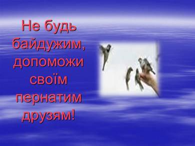 01000zbm-8b48-390x293.jpg