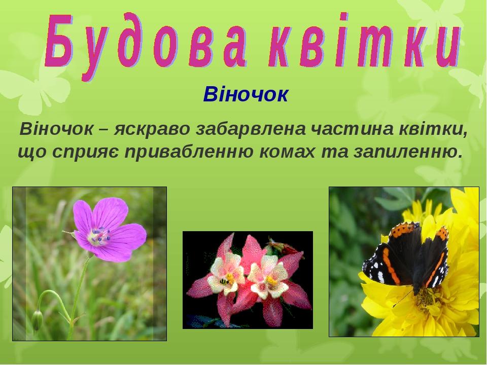 Віночок Віночок – яскраво забарвлена частина квітки, що сприяє привабленню комах та запиленню.