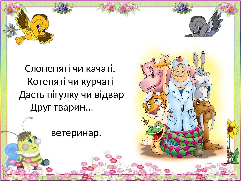 Слоненяті чи качаті, Котеняті чи курчаті Дасть пігулку чи відвар Друг тварин... ветеринар.