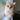 Аватар профіля