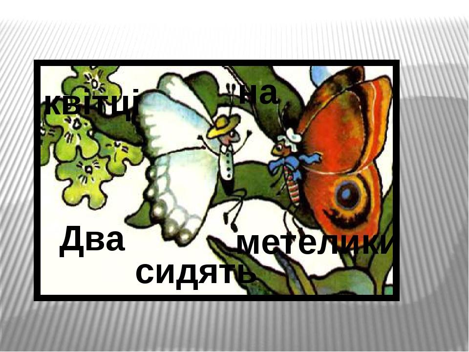 Два сидять метелики на квітці