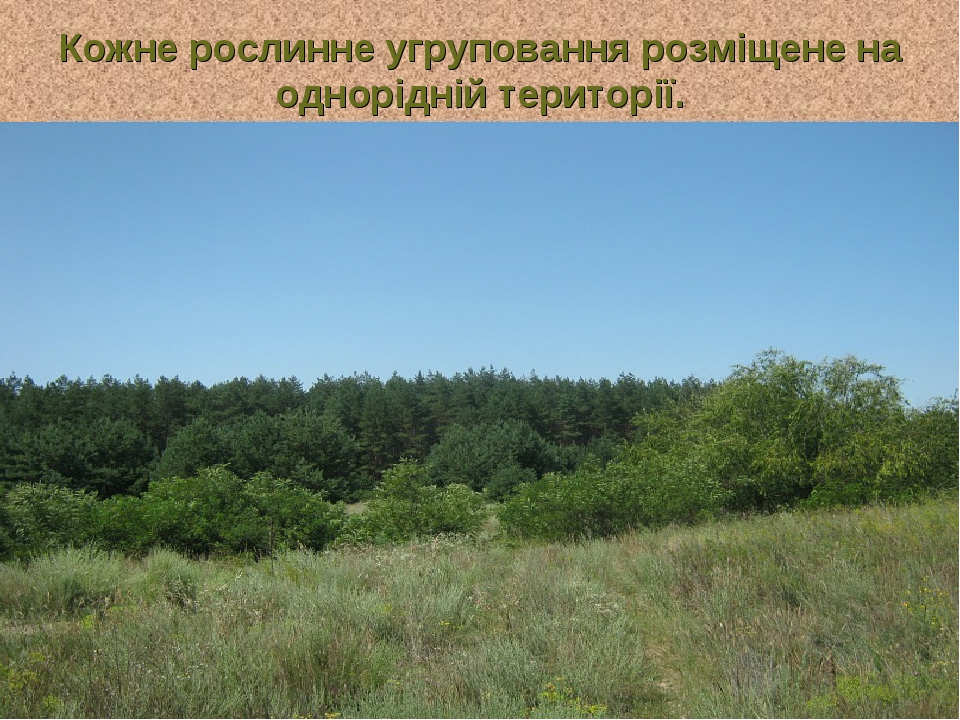 Кожне рослинне угруповання розміщене на однорідній території.