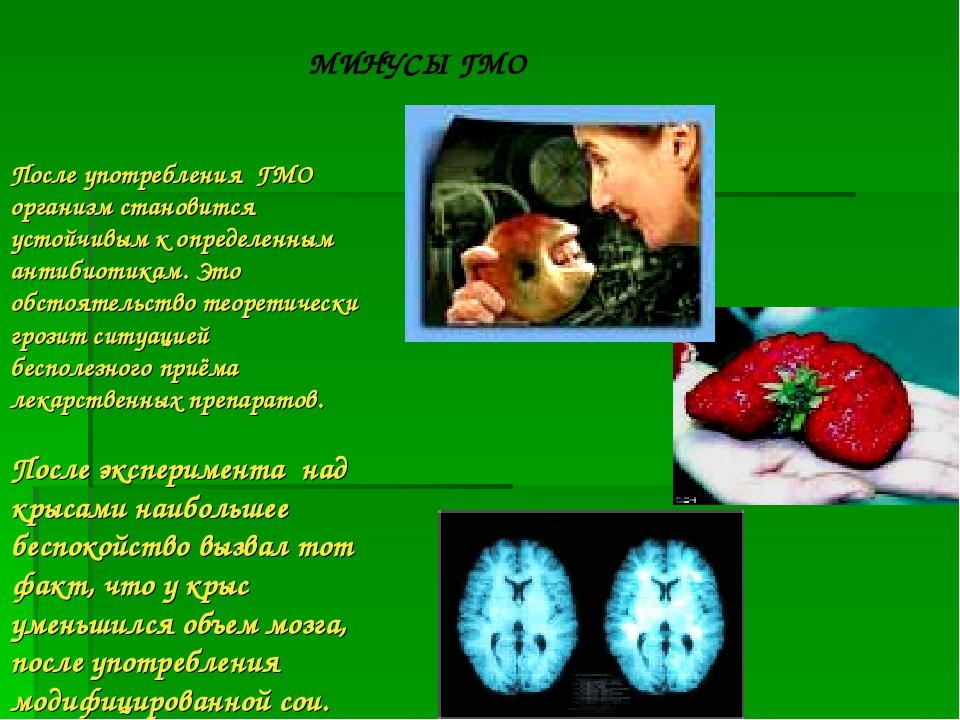 Генномодифицированные организмы проект