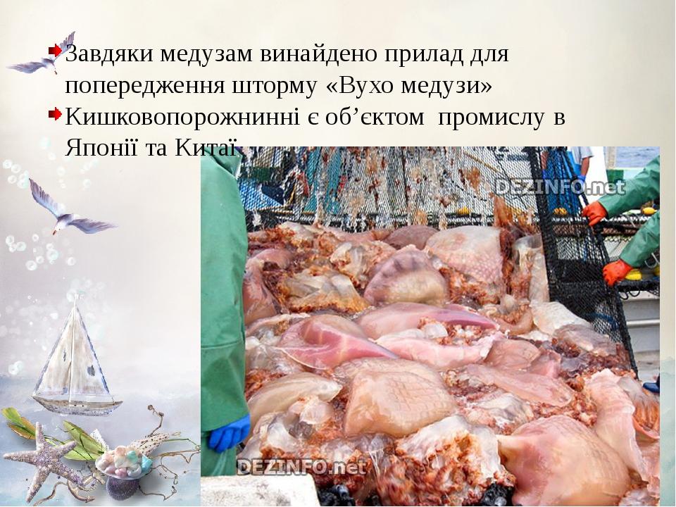 Завдяки медузам винайдено прилад для попередження шторму «Вухо медузи» Кишковопорожнинні є об’єктом промислу в Японії та Китаї