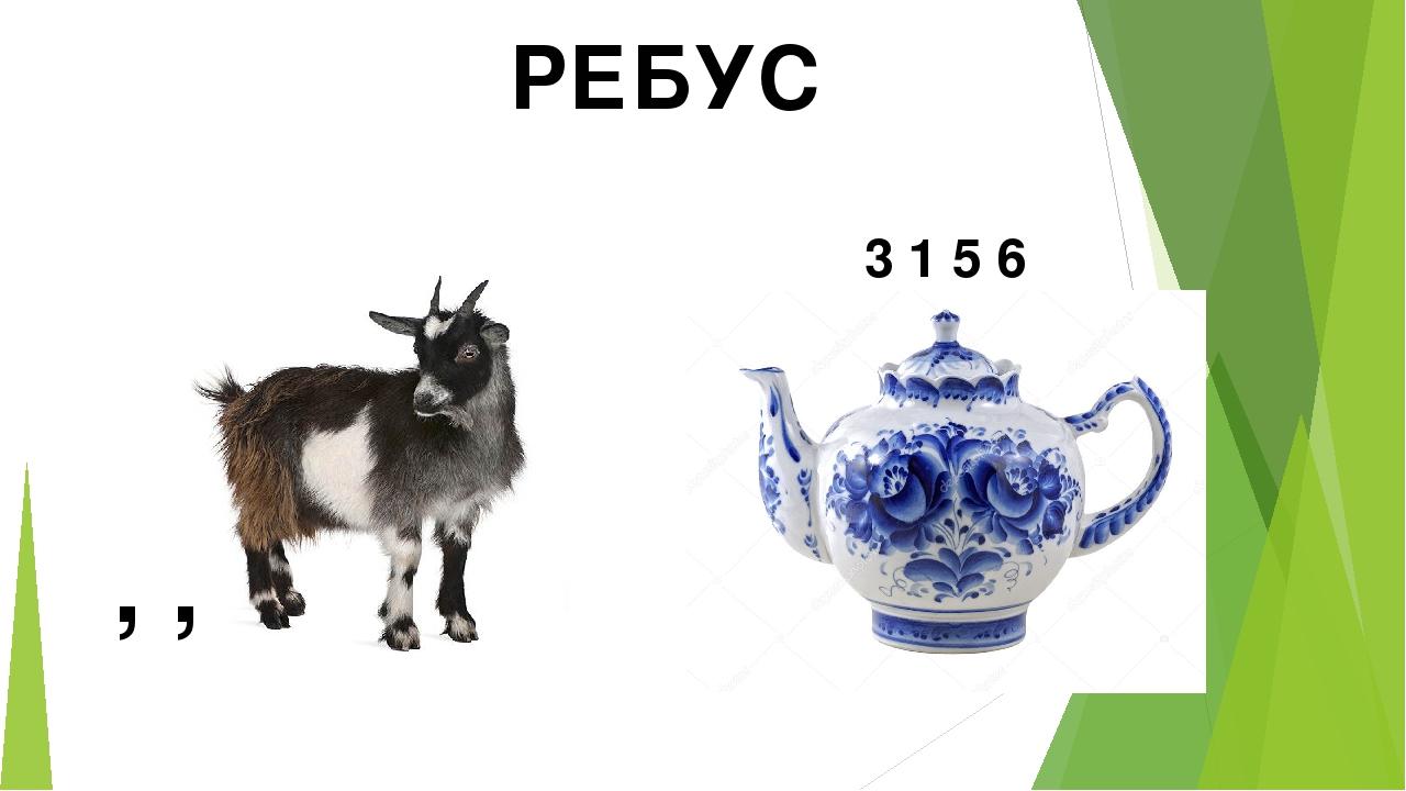 РЕБУС 3 1 5 6 , ,