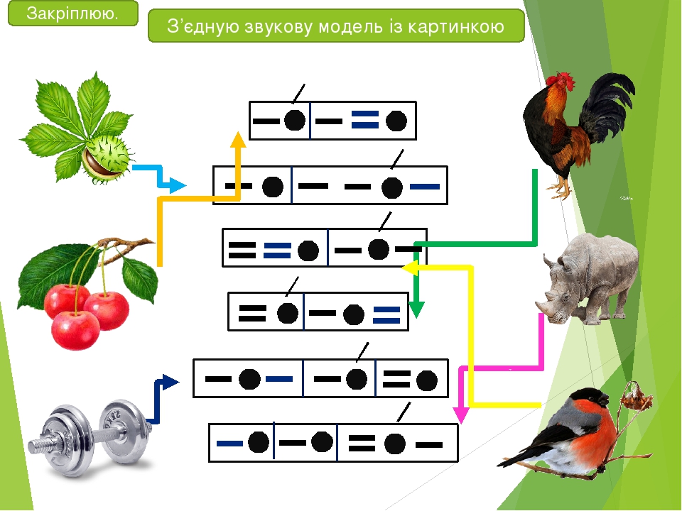 Джміль звукова схема