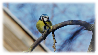 01001zn2-40a8-401x227.png