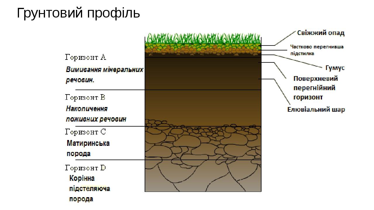 Грунти України презентація до уроку для 8 класу | Презентація. Географія