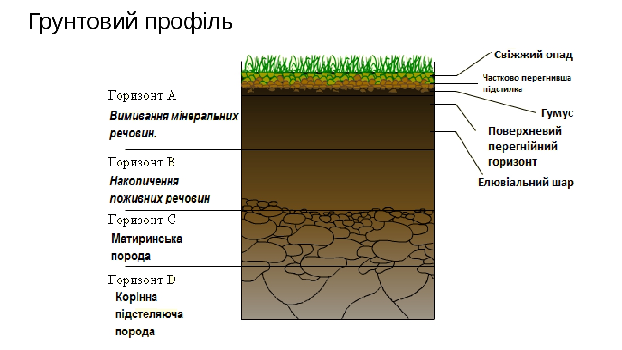 Картинки по запросу "грунтовий профіль"