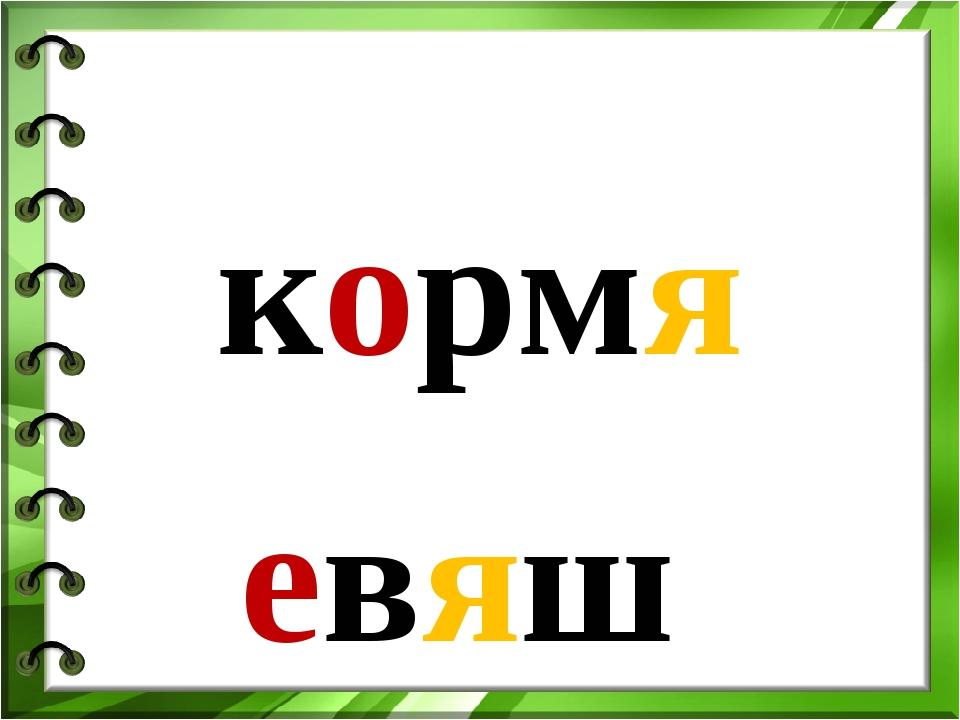 кормя евяш