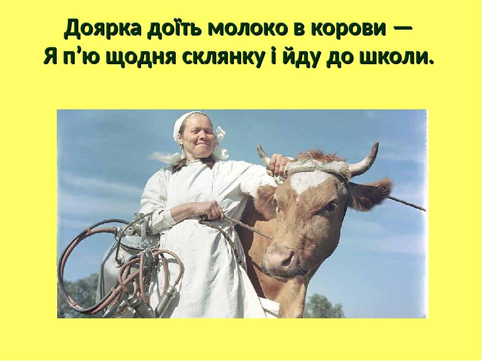 Доярка доїть молоко в корови — Я п’ю щодня склянку і йду до школи.