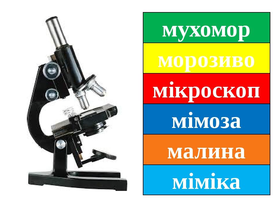 мухомор морозиво мікроскоп мімоза малина міміка